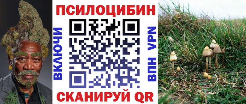 Галлюциногенные грибы ЛСД  ссылка на мегу ссылка  Гвардейск  где найти наркотики 