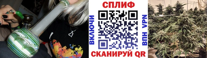 Бошки марихуана индика  Гвардейск 